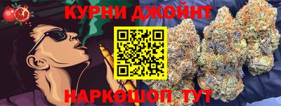 сатива Можга