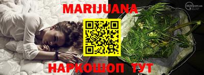 сатива Можга