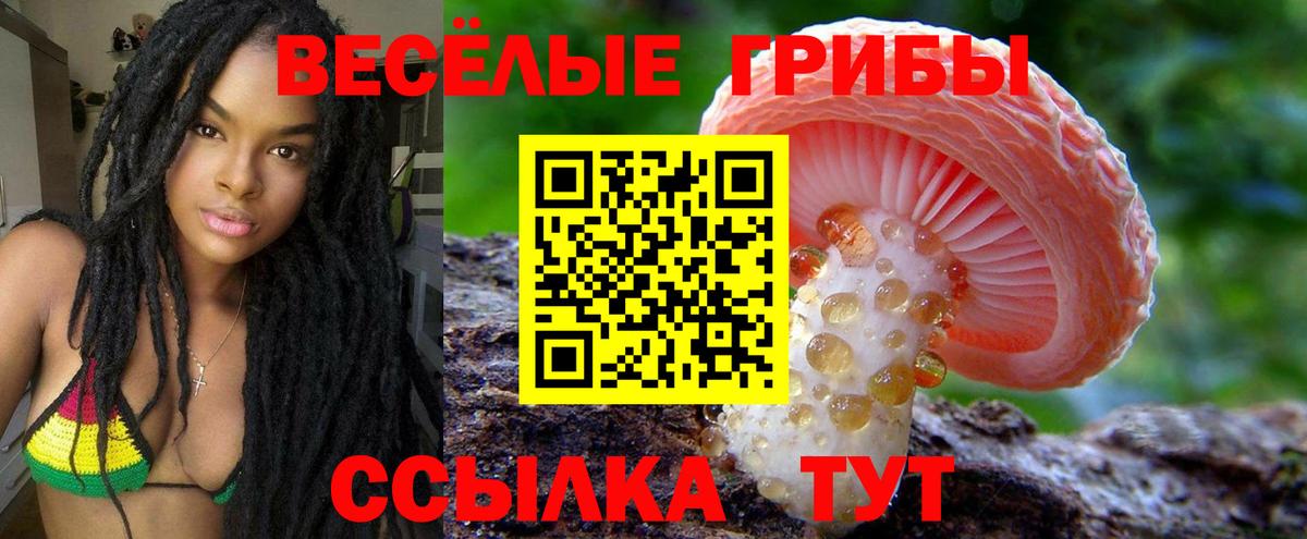 Чапаевск  Псилоцибиновые грибы прущие грибы  Вход с VPN 